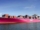 Ocean-Network-Express-ONE-780x470-1
