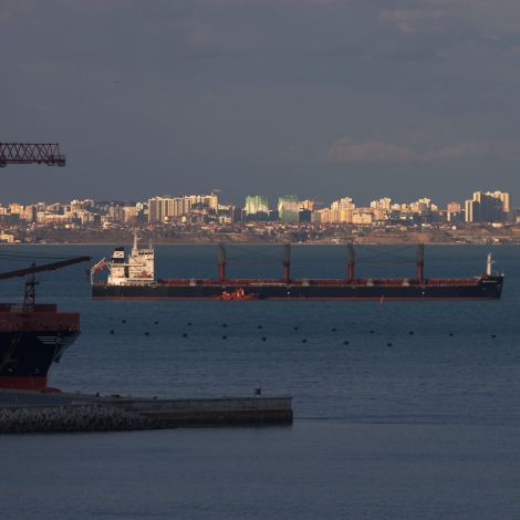 shutterstock_1650155962